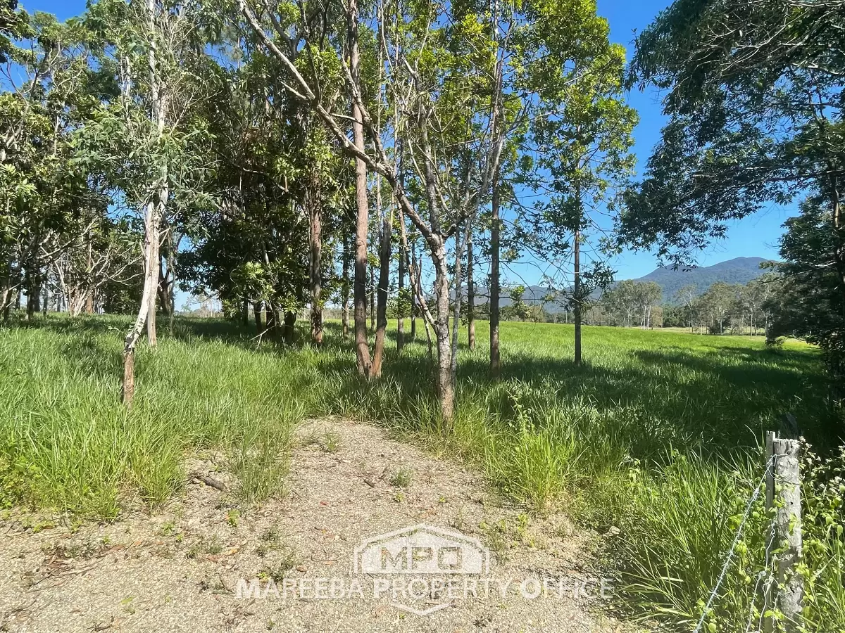 1 Button Close, Julatten, QLD, Julatten - Thumbnail 3