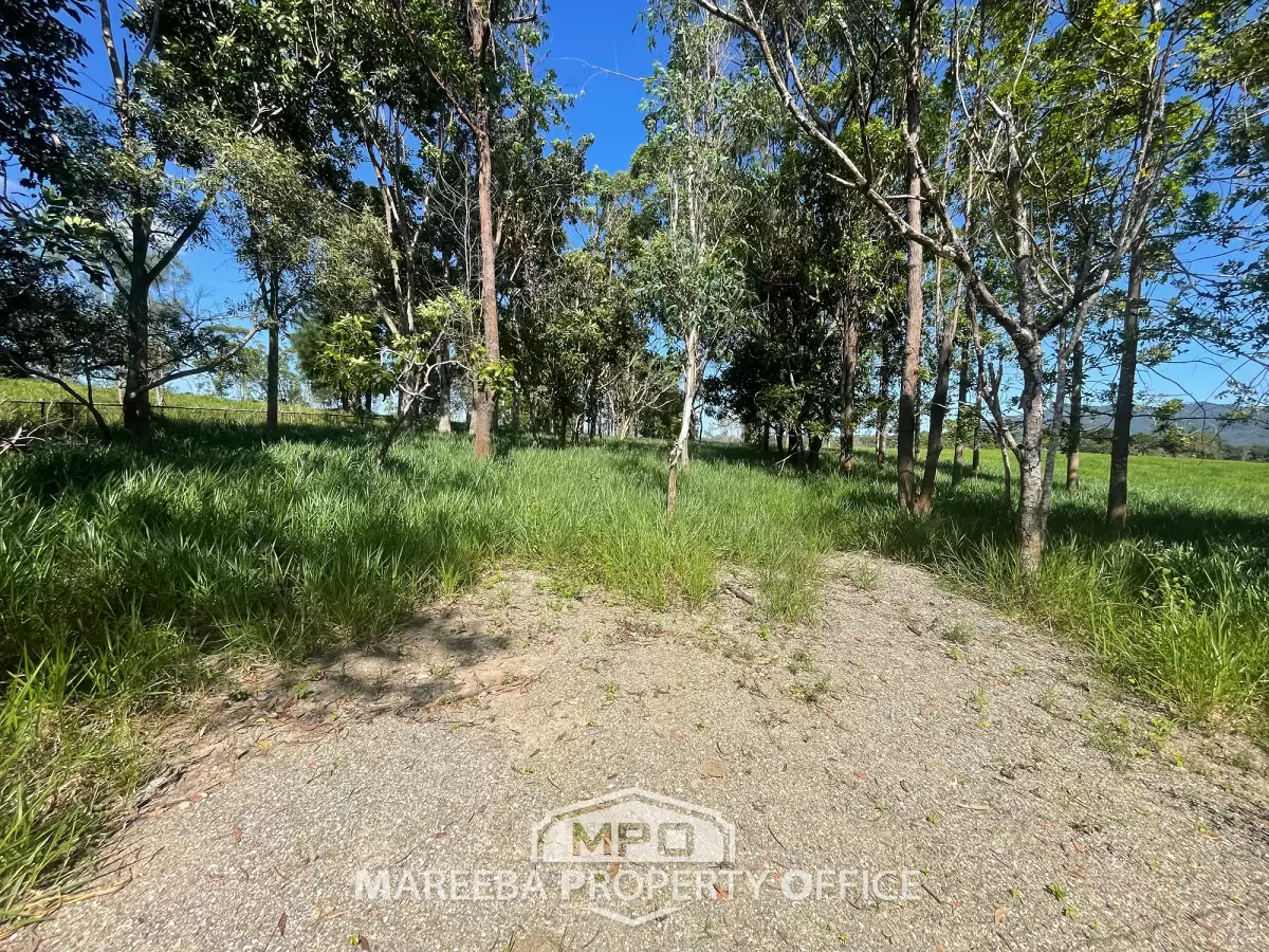 1 Button Close, Julatten, QLD, Julatten - Thumbnail 4