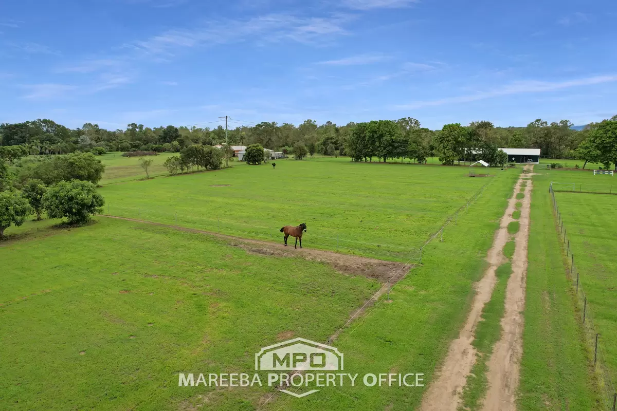 30 McGrath Road, Mareeba, QLD, Mareeba - Thumbnail 3