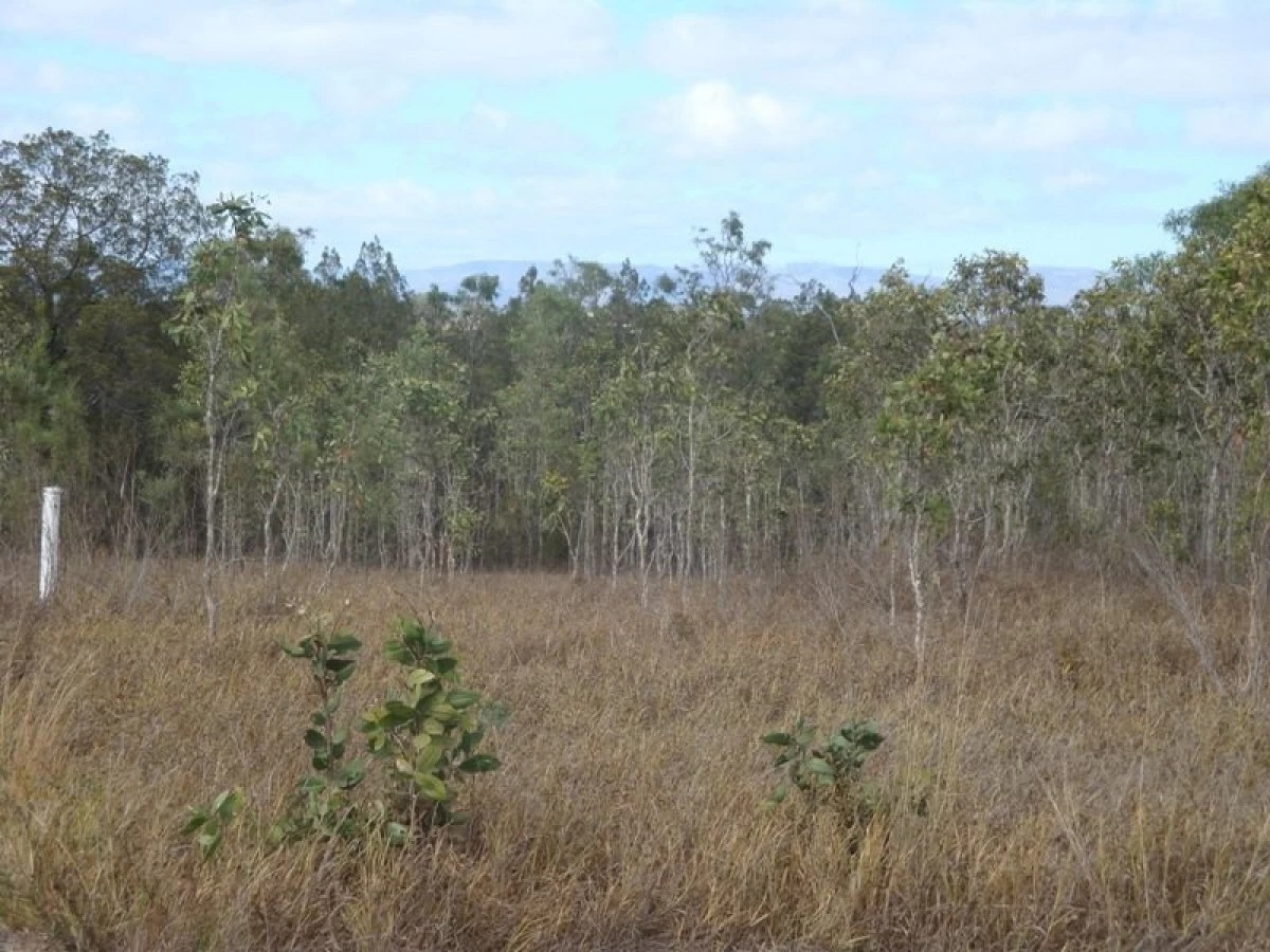 70 Emerald Heights Road, Mareeba, QLD, Mareeba - Thumbnail 4