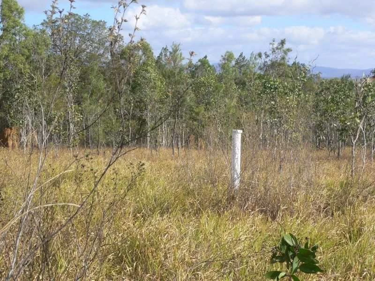70 Emerald Heights Road, Mareeba, QLD, Mareeba - Thumbnail 6