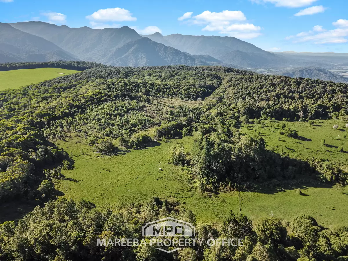 1000 Mossman-Mount Molloy Road, Julatten, QLD, Julatten - Thumbnail 6