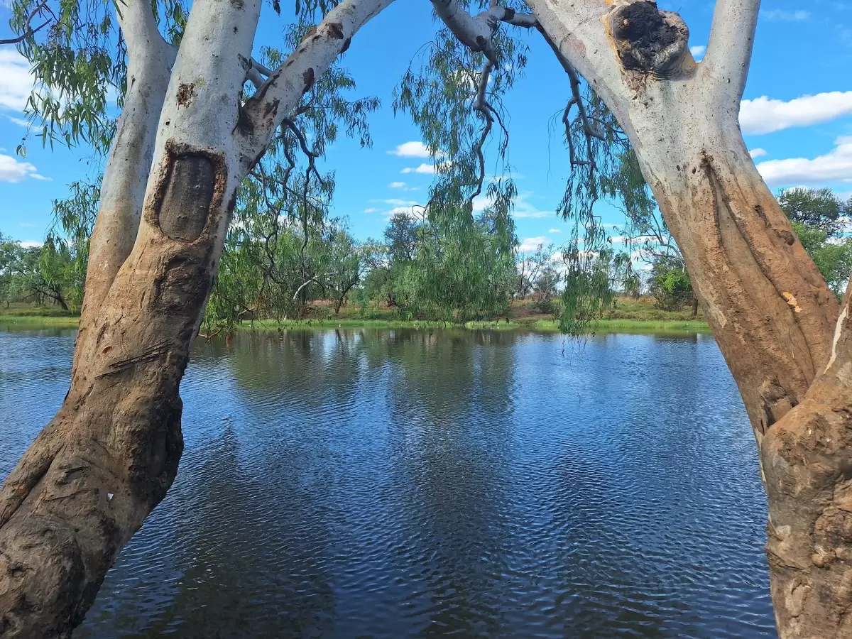 6ML Water Allocation, Paddys Green, QLD, Paddys Green - Thumbnail 2