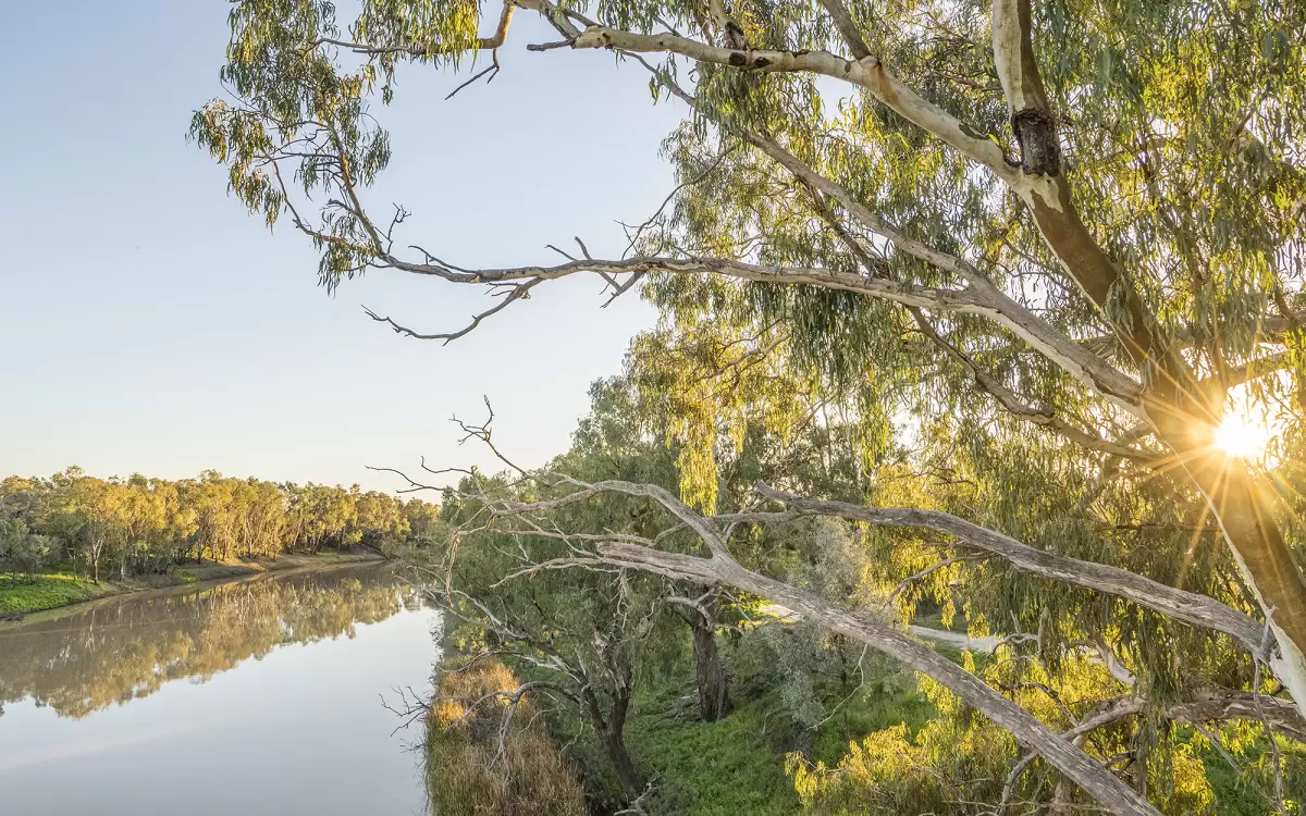 6ML Water Allocation, Paddys Green, QLD, Paddys Green - Thumbnail 4