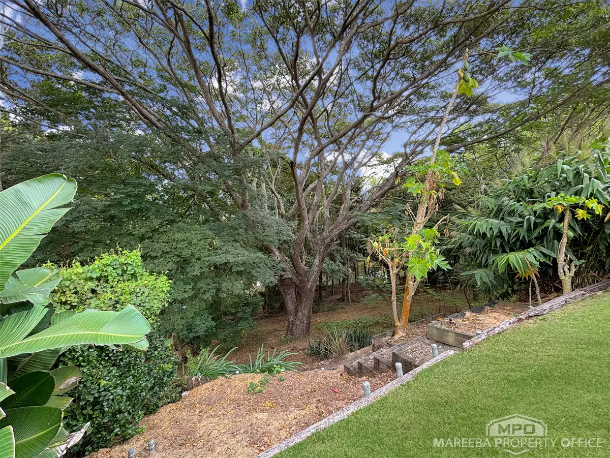10 Doyle Street, Mareeba, QLD, Mareeba - Thumbnail 6