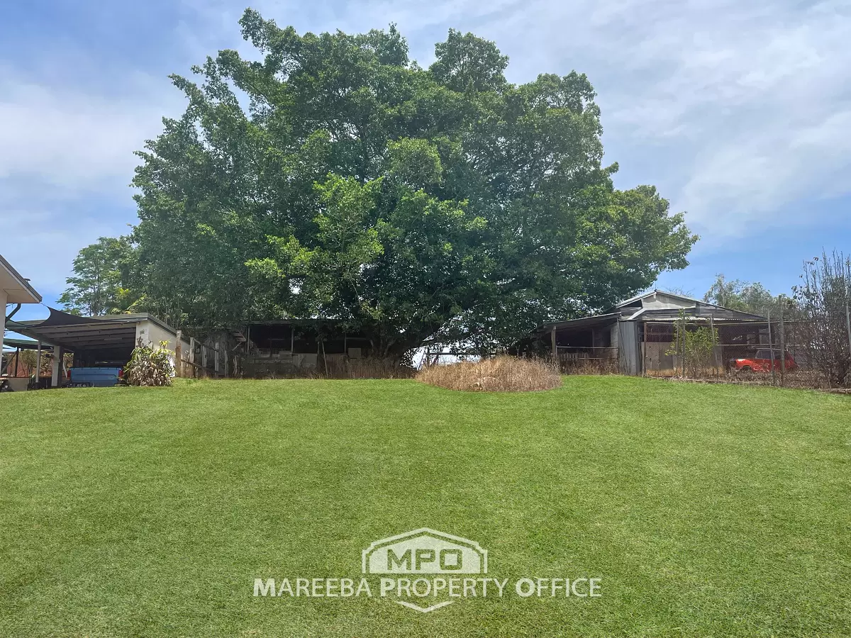 11 Love Street, Mareeba, QLD, Mareeba - Thumbnail 4
