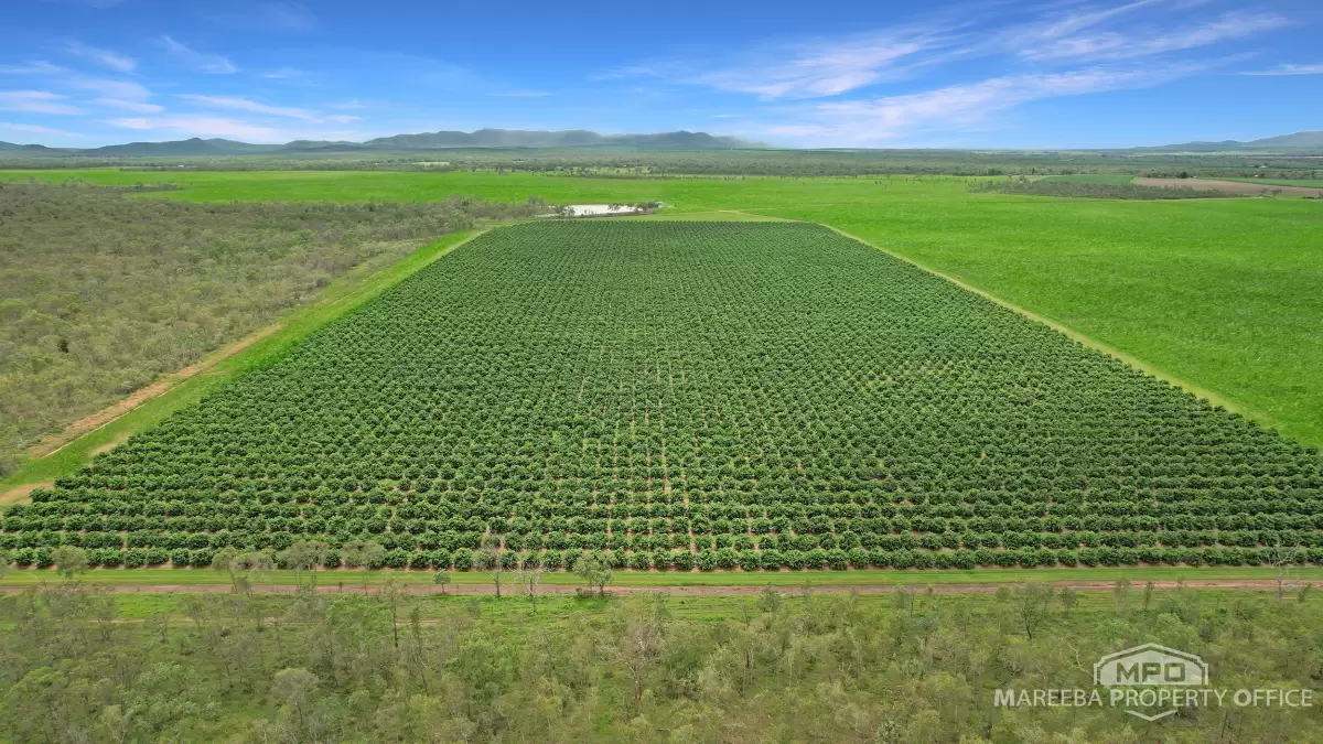 398 Leadingham Road, Dimbulah, QLD, Dimbulah - Thumbnail 3