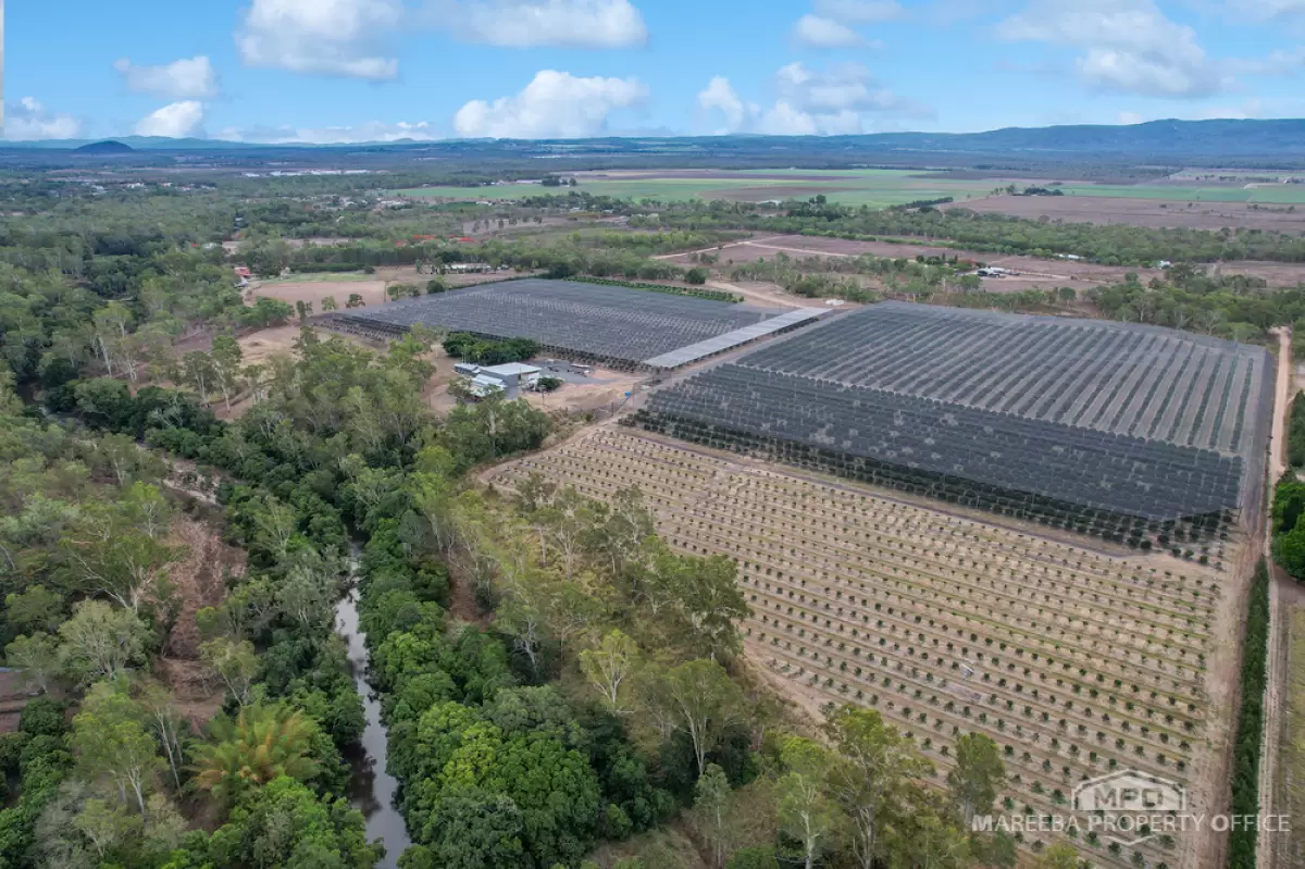 57 Studt Road & 50 Keal Close, Mareeba, QLD, Mareeba - Image 1