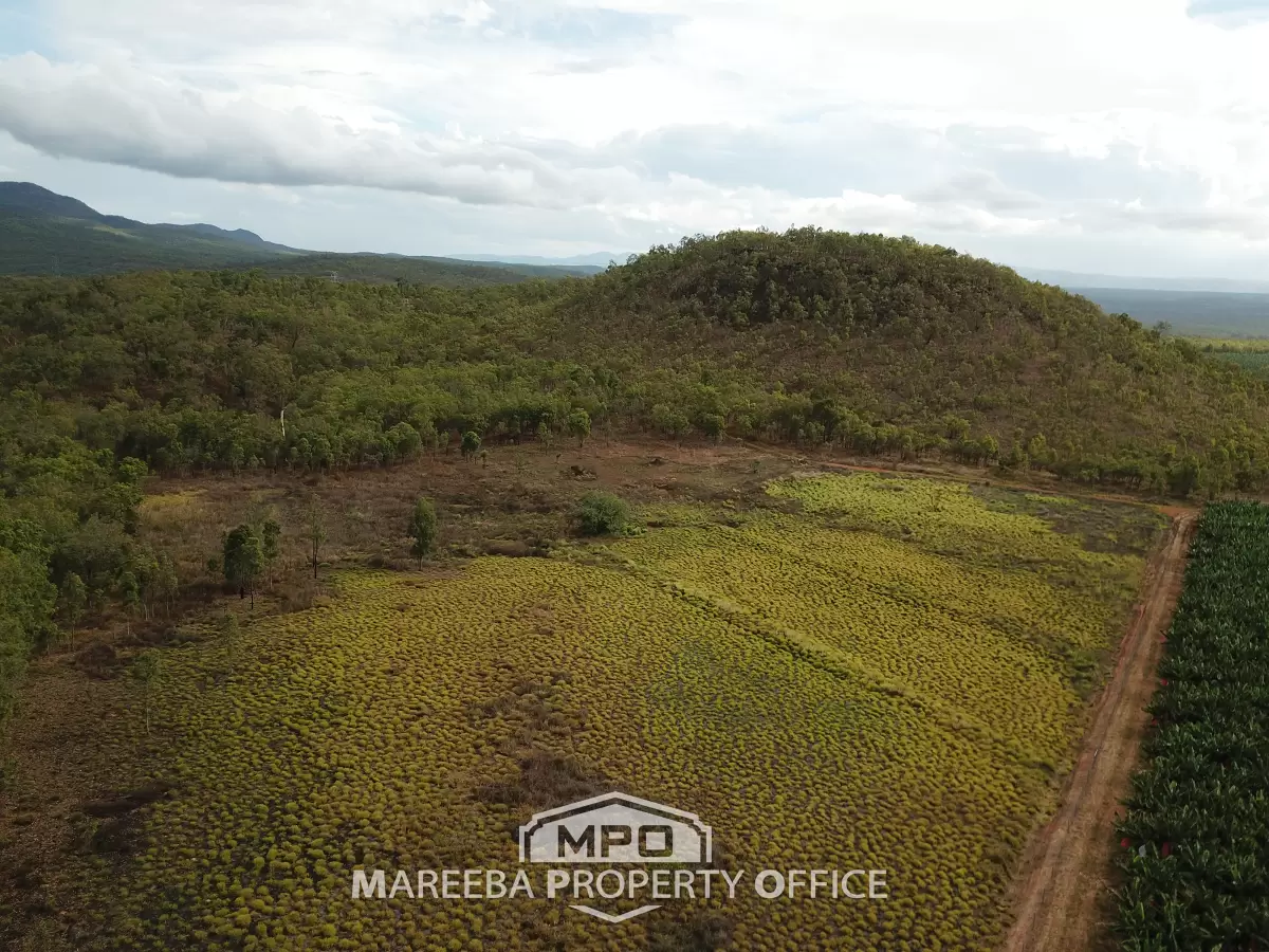 Lot 101 Emerald Falls Road, Mareeba, QLD, Mareeba - Thumbnail 4