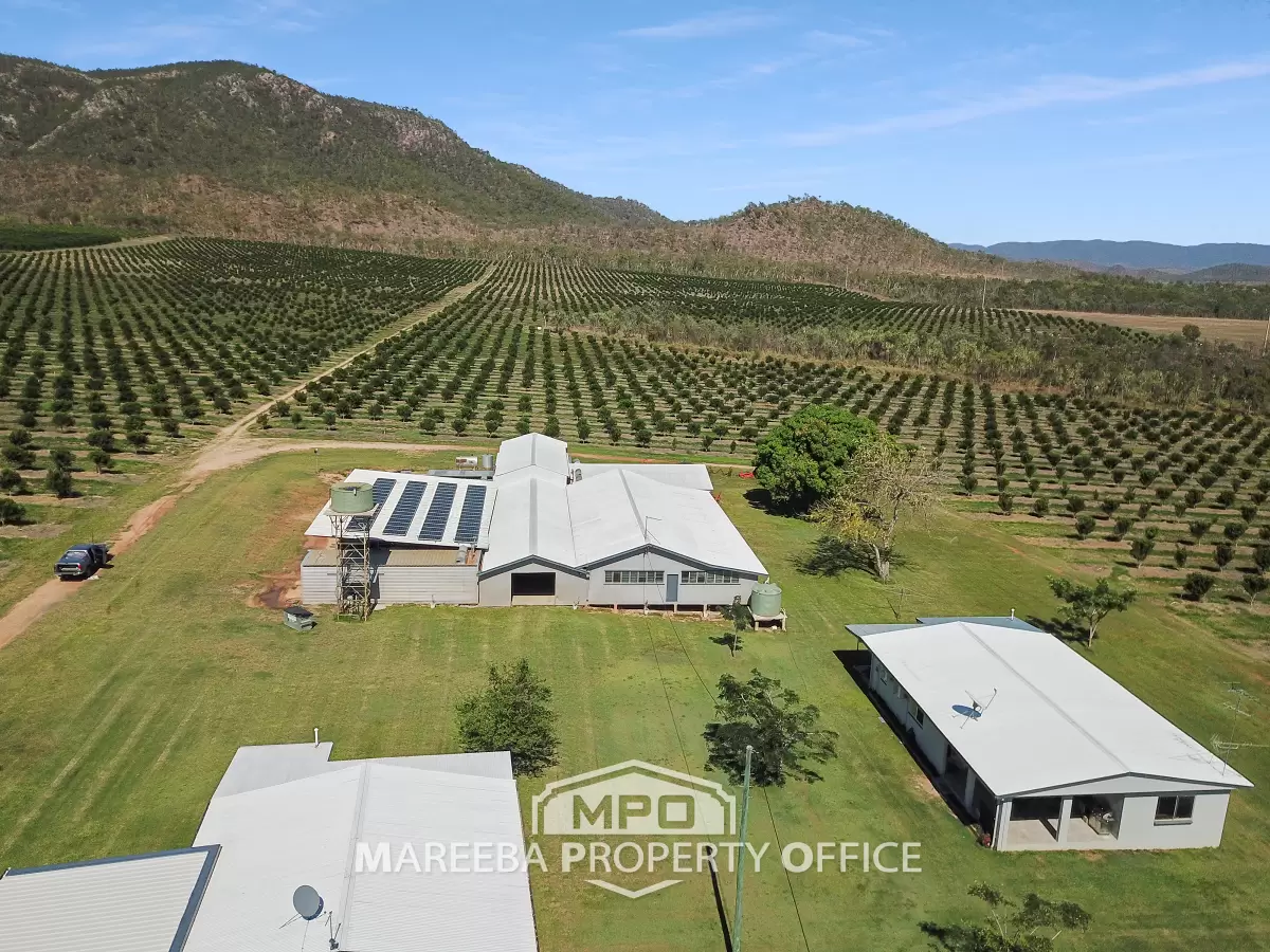 264 Top Eureka Road, Dimbulah, QLD, Dimbulah - Image 1