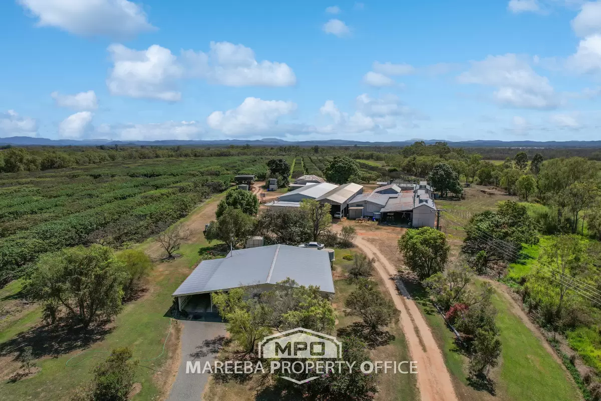 44 Carman Road, Paddy's Green, Mareeba, QLD, Paddy'S Green - Image 1