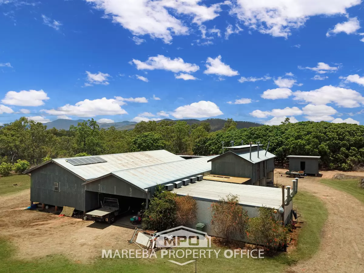 72 Catherine Road, Mutchilba, QLD, Mutchilba - Thumbnail 8