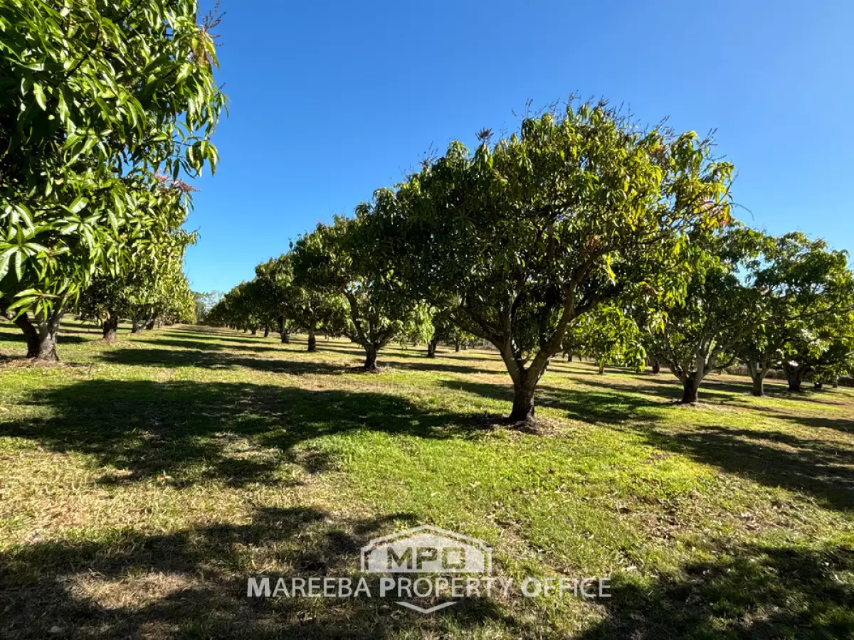 3762 Kennedy Highway, Mareeba, QLD, Mareeba - Thumbnail 6
