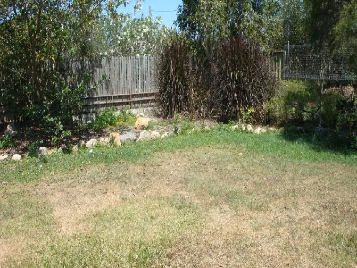 140 Constance Street, Mareeba, QLD, Mareeba - Thumbnail 6