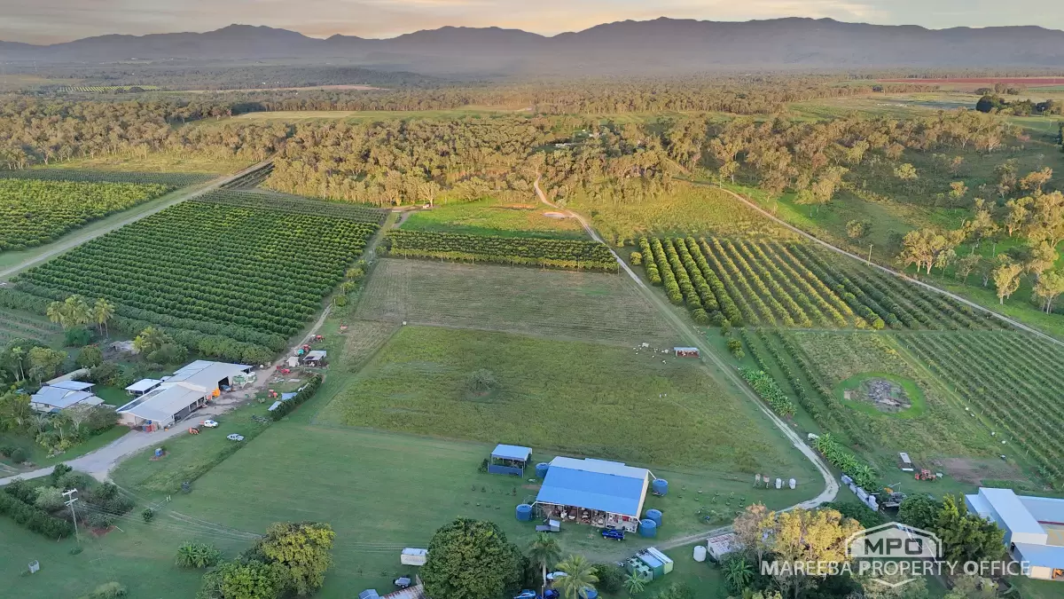 350 Fichera Road, Mareeba, QLD, Mareeba - Image 1