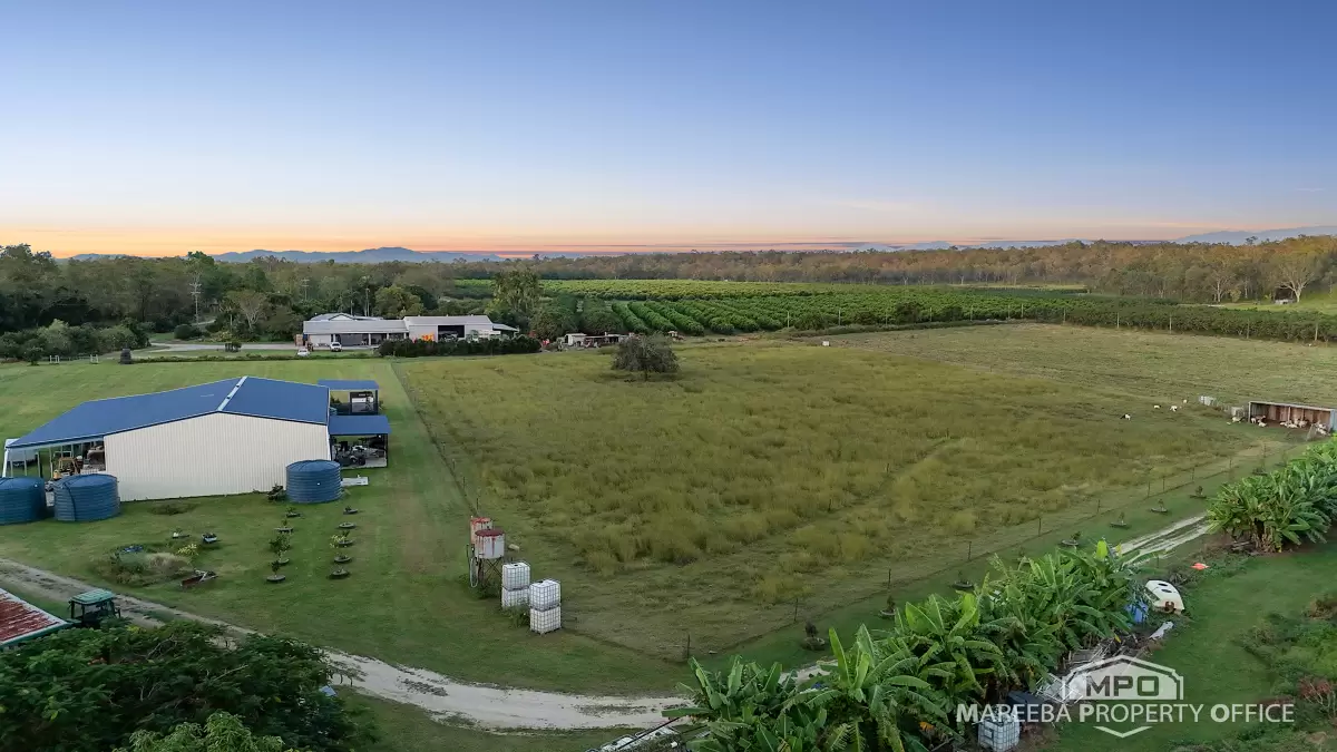 350 Fichera Road, Mareeba, QLD, Mareeba - Thumbnail 4