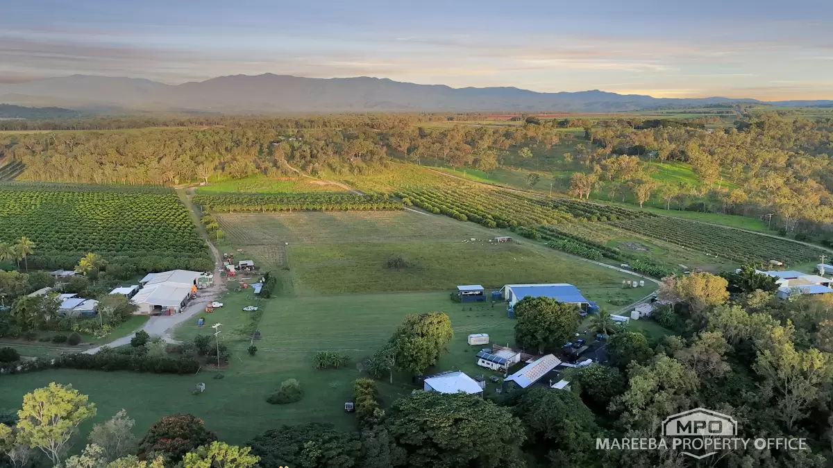 350 Fichera Road, Mareeba, QLD, Mareeba - Thumbnail 5
