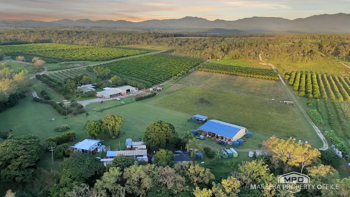 350 Fichera Road, Mareeba, QLD, Mareeba - Thumbnail 6