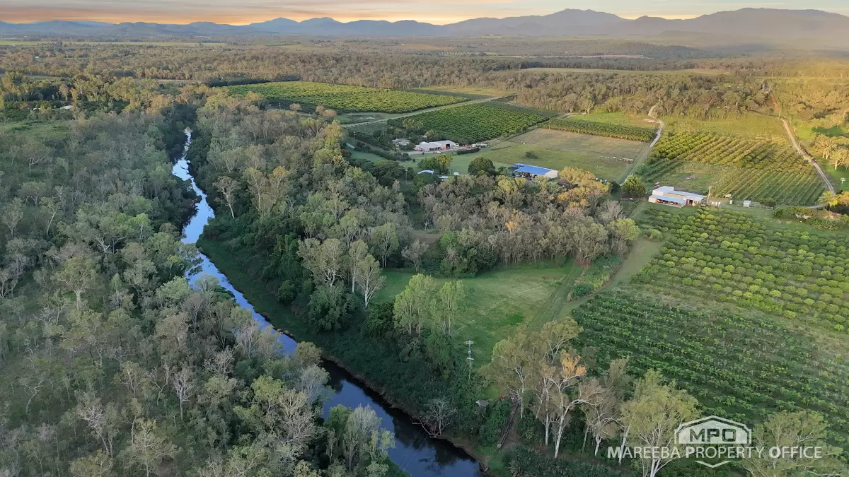 350 Fichera Road, Mareeba, QLD, Mareeba - Thumbnail 7