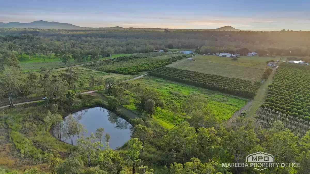 350 Fichera Road, Mareeba, QLD, Mareeba - Thumbnail 8