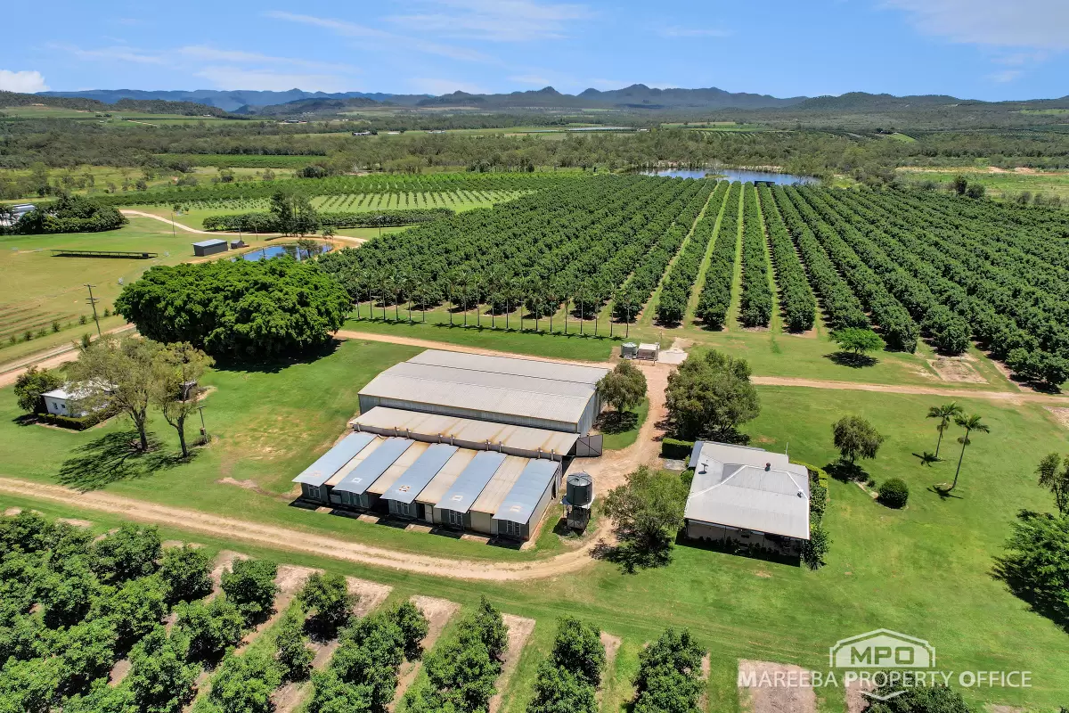 65895 Burke Developmental Road, Dimbulah, QLD, Dimbulah - Image 1