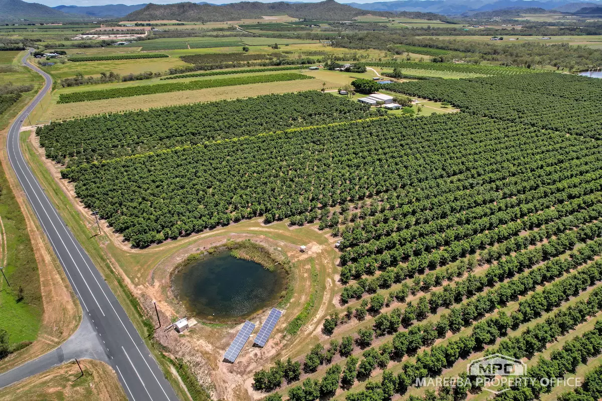 65895 Burke Developmental Road, Dimbulah, QLD, Dimbulah - Thumbnail 2