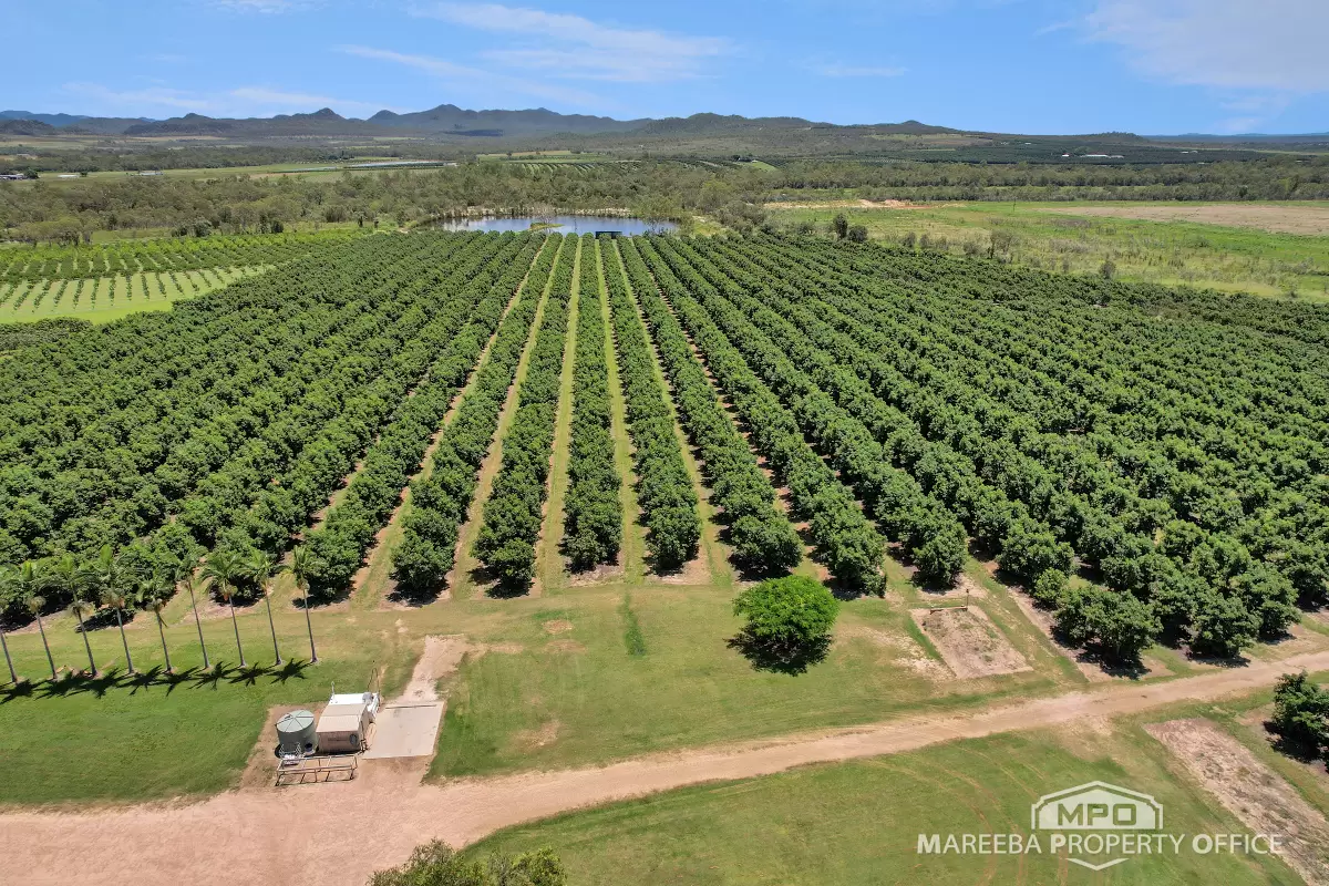 65895 Burke Developmental Road, Dimbulah, QLD, Dimbulah - Thumbnail 3