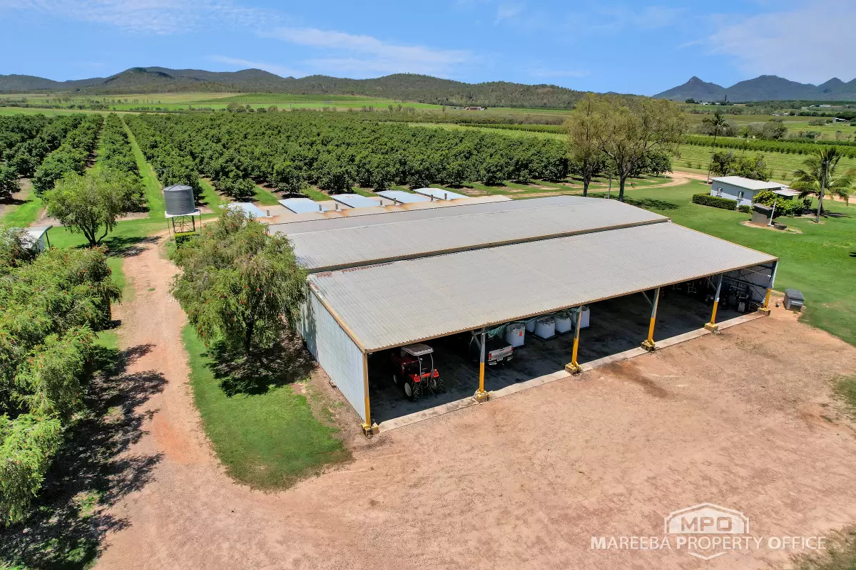 65895 Burke Developmental Road, Dimbulah, QLD, Dimbulah - Thumbnail 6