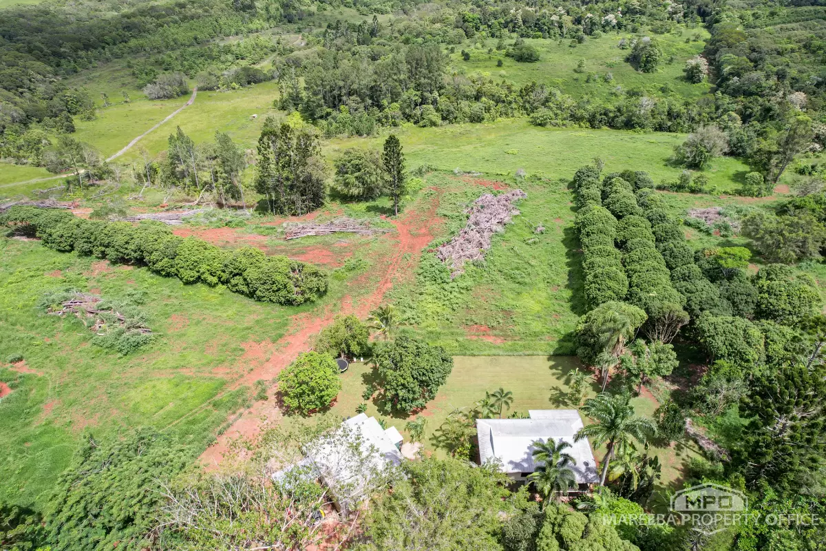 1000 Mossman Mount Molloy Road, Julatten, QLD, Julatten - Thumbnail 2
