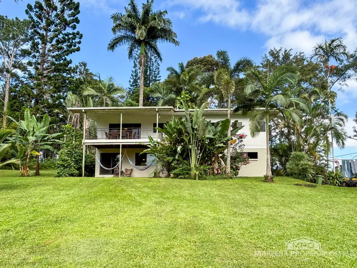 1000 Mossman Mount Molloy Road, Julatten, QLD, Julatten - Thumbnail 7