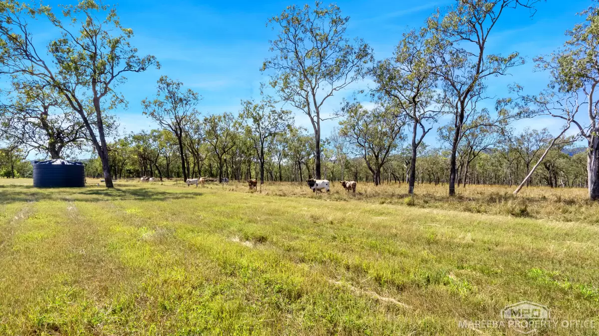 76 Davies Creek Road, Mareeba, QLD, Mareeba - Thumbnail 7