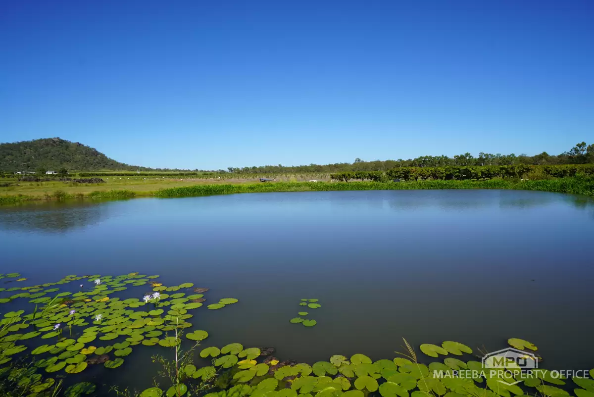 446 Chewko Road, Mareeba, QLD, Mareeba - Image 1