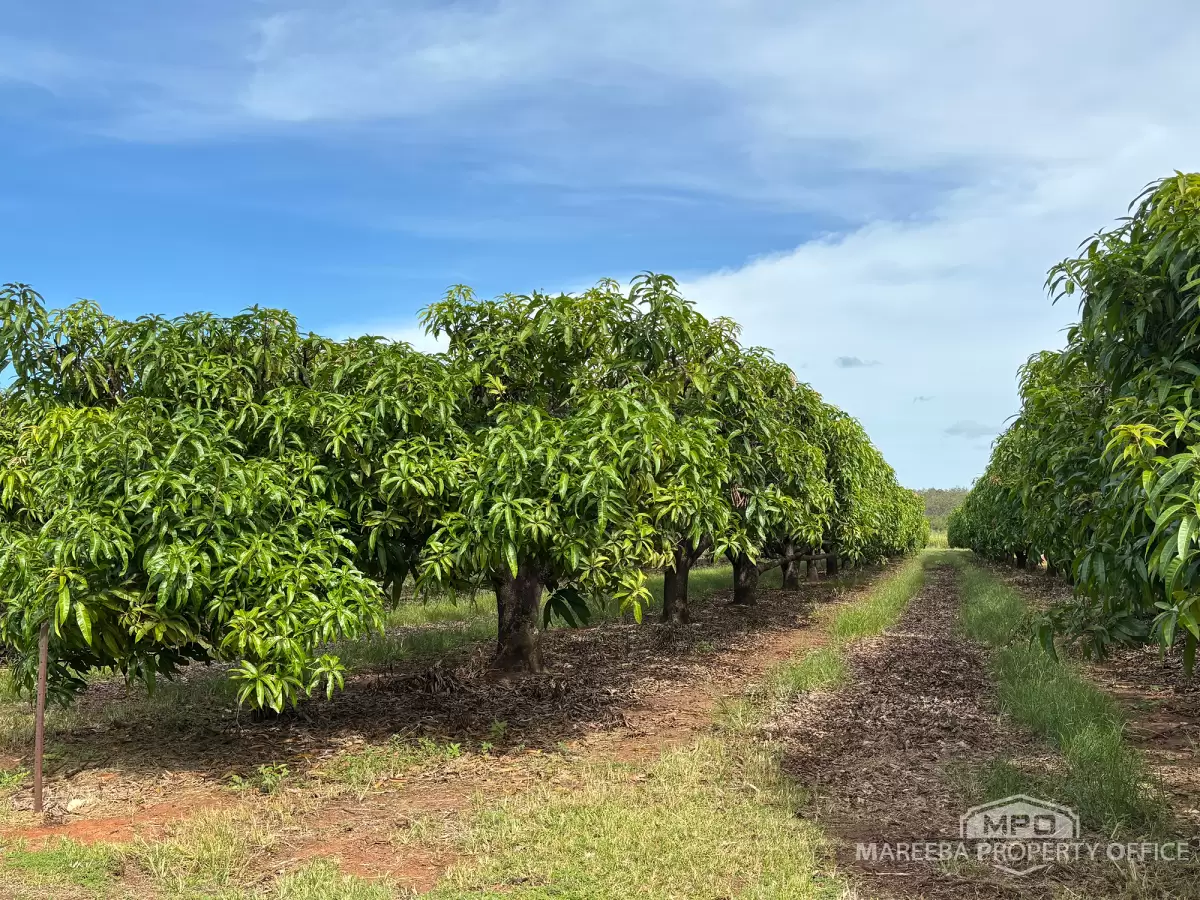 446 Chewko Road, Mareeba, QLD, Mareeba - Thumbnail 3