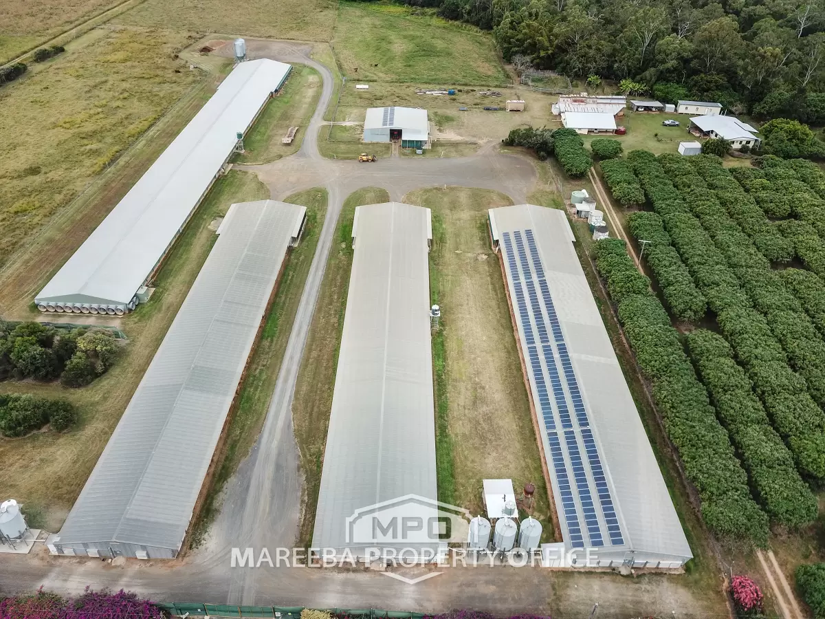 1004 Bilwon Road, Biboohra, QLD, Biboohra - Image 1
