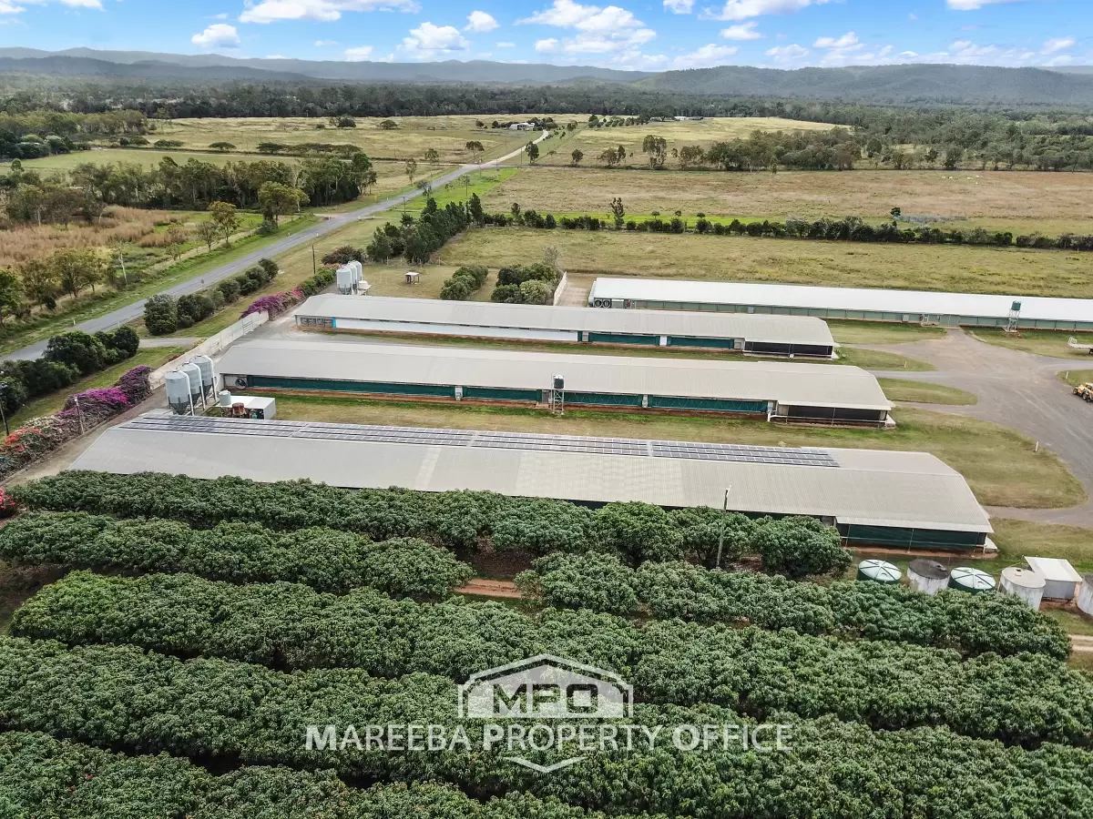 1004 Bilwon Road, Biboohra, QLD, Biboohra - Thumbnail 2