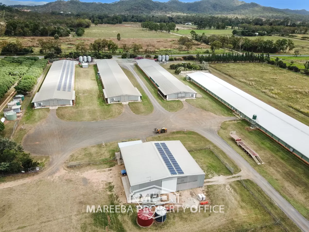 1004 Bilwon Road, Biboohra, QLD, Biboohra - Thumbnail 3