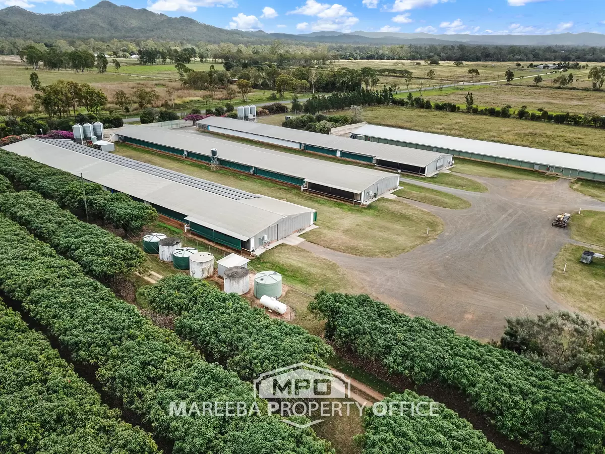 1004 Bilwon Road, Biboohra, QLD, Biboohra - Thumbnail 4