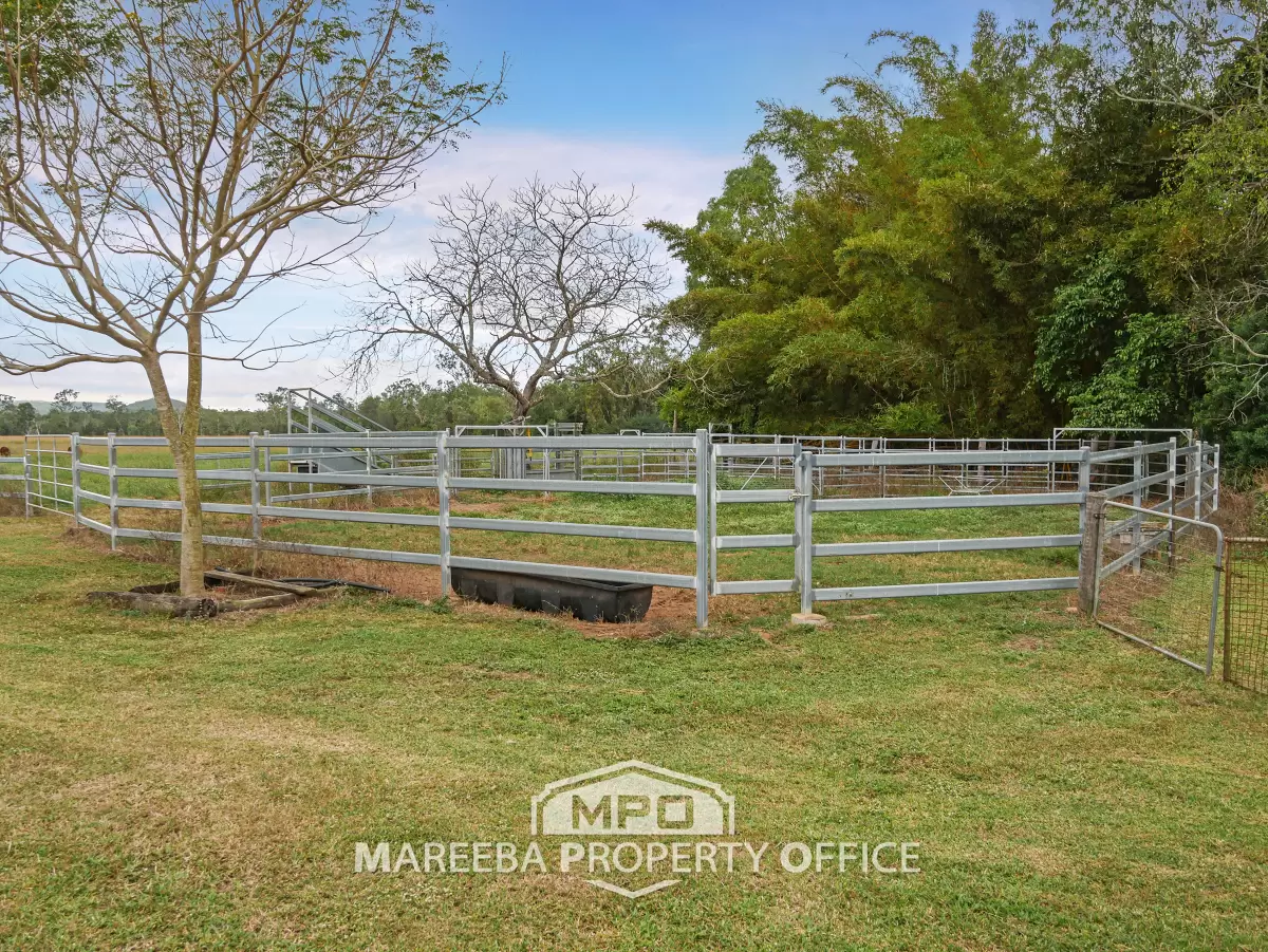 1004 Bilwon Road, Biboohra, QLD, Biboohra - Thumbnail 5