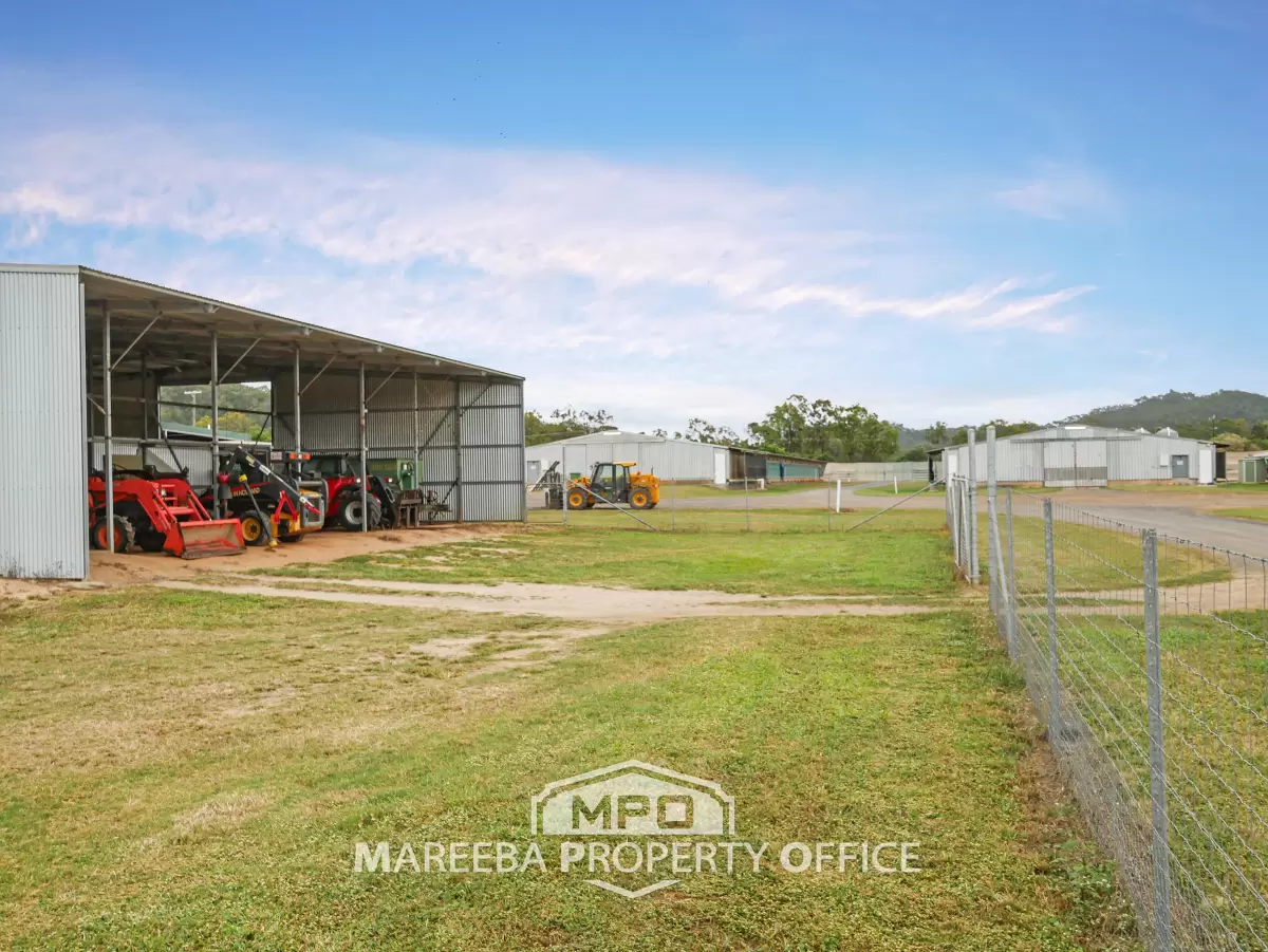 1004 Bilwon Road, Biboohra, QLD, Biboohra - Thumbnail 6