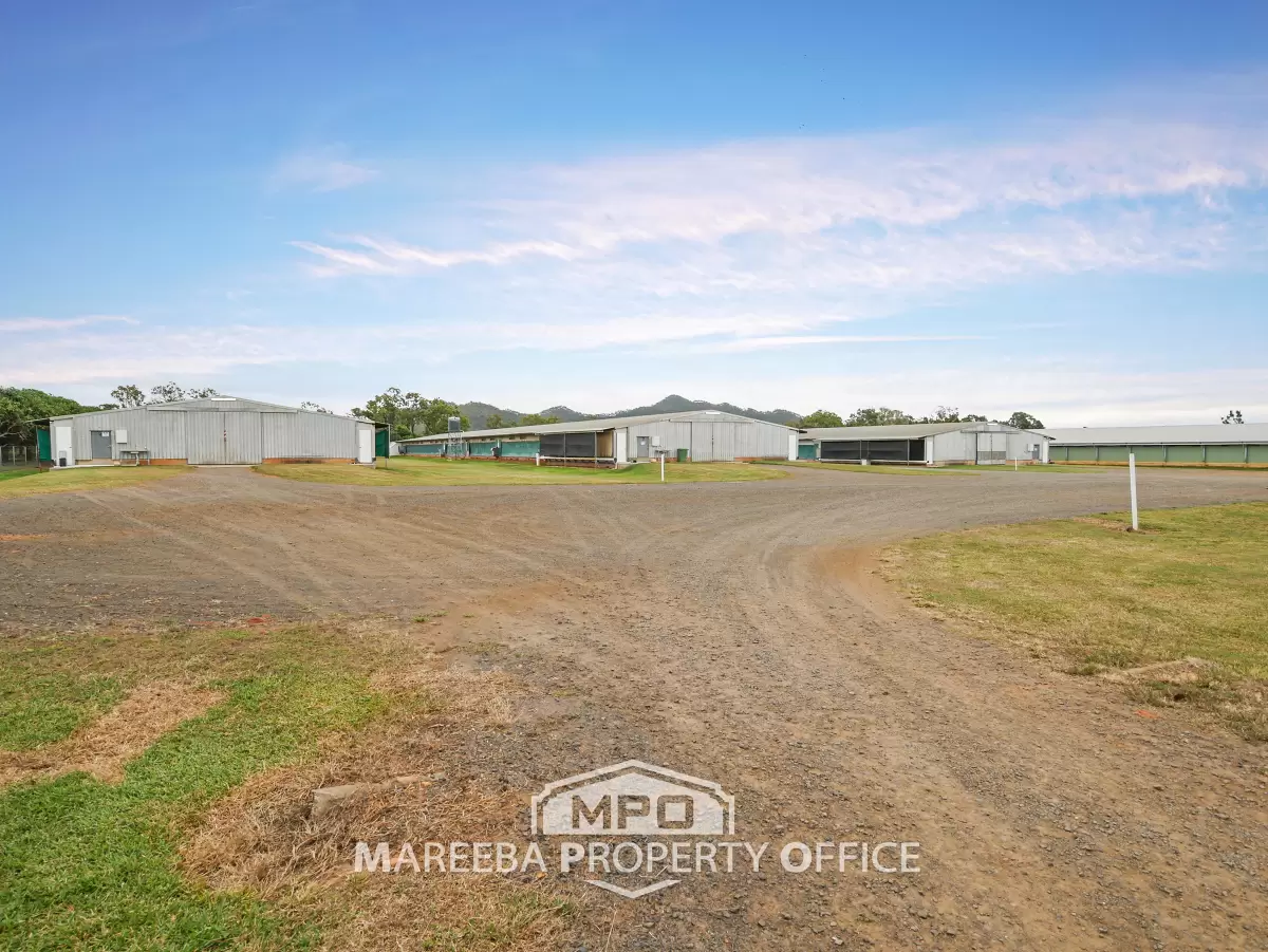 1004 Bilwon Road, Biboohra, QLD, Biboohra - Thumbnail 7