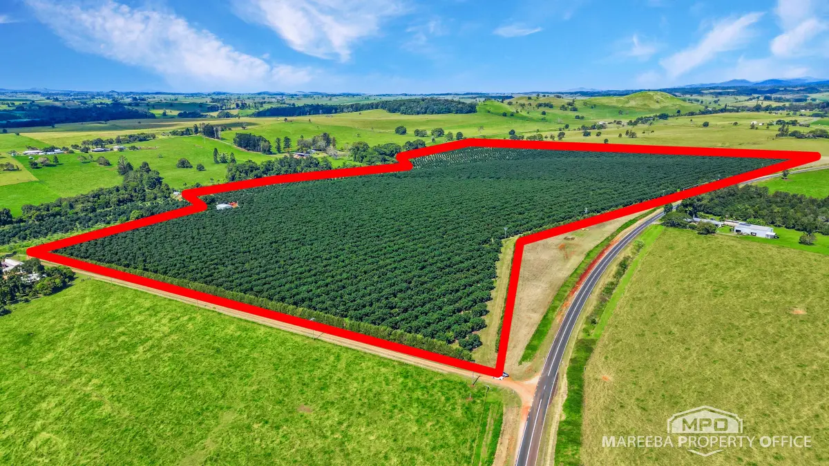 46 Hughes Road, Upper Barron, QLD, Upper Barron - Image 1