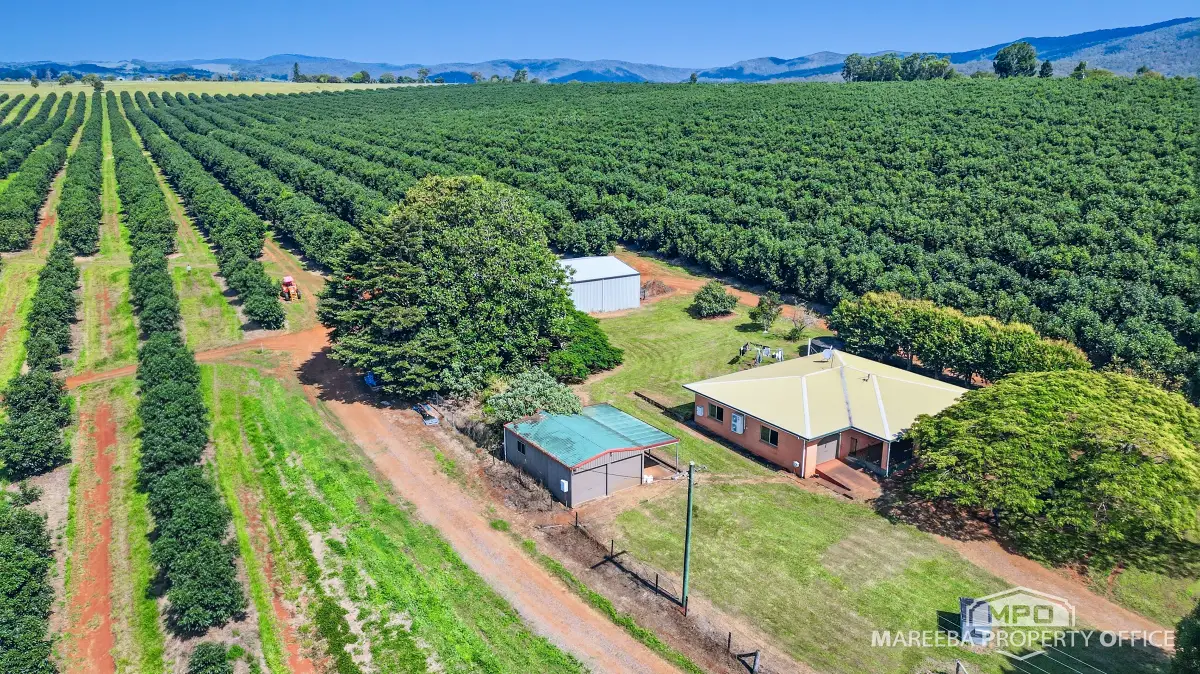 46 Hughes Road, Upper Barron, QLD, Upper Barron - Thumbnail 2