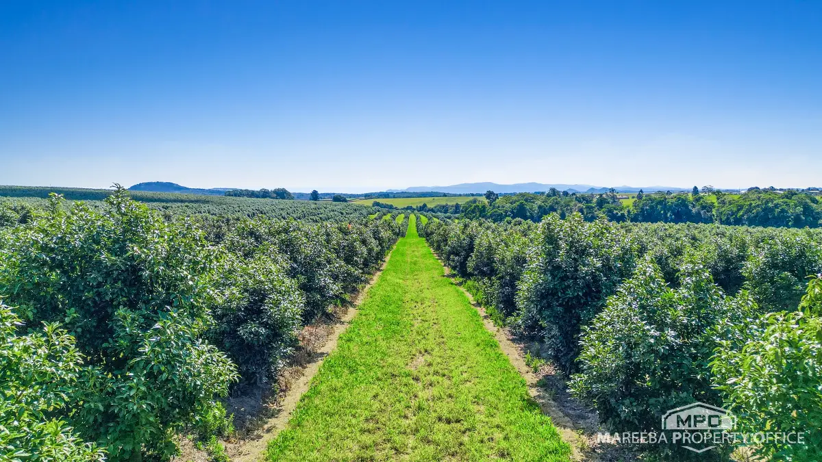 46 Hughes Road, Upper Barron, QLD, Upper Barron - Thumbnail 3