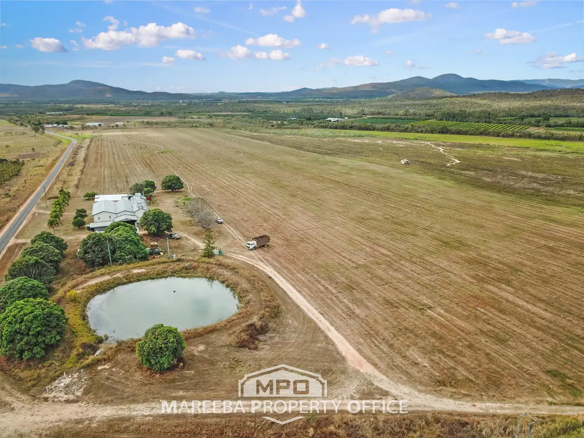523 Mutchilba Road, Mutchilba, QLD, Mutchilba - Image 1
