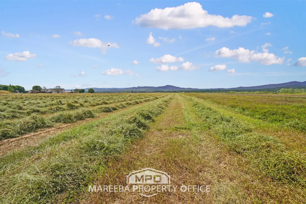 523 Mutchilba Road, Mutchilba, QLD, Mutchilba - Thumbnail 2