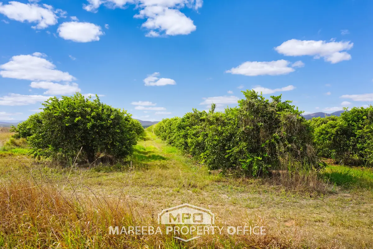 523 Mutchilba Road, Mutchilba, QLD, Mutchilba - Thumbnail 5