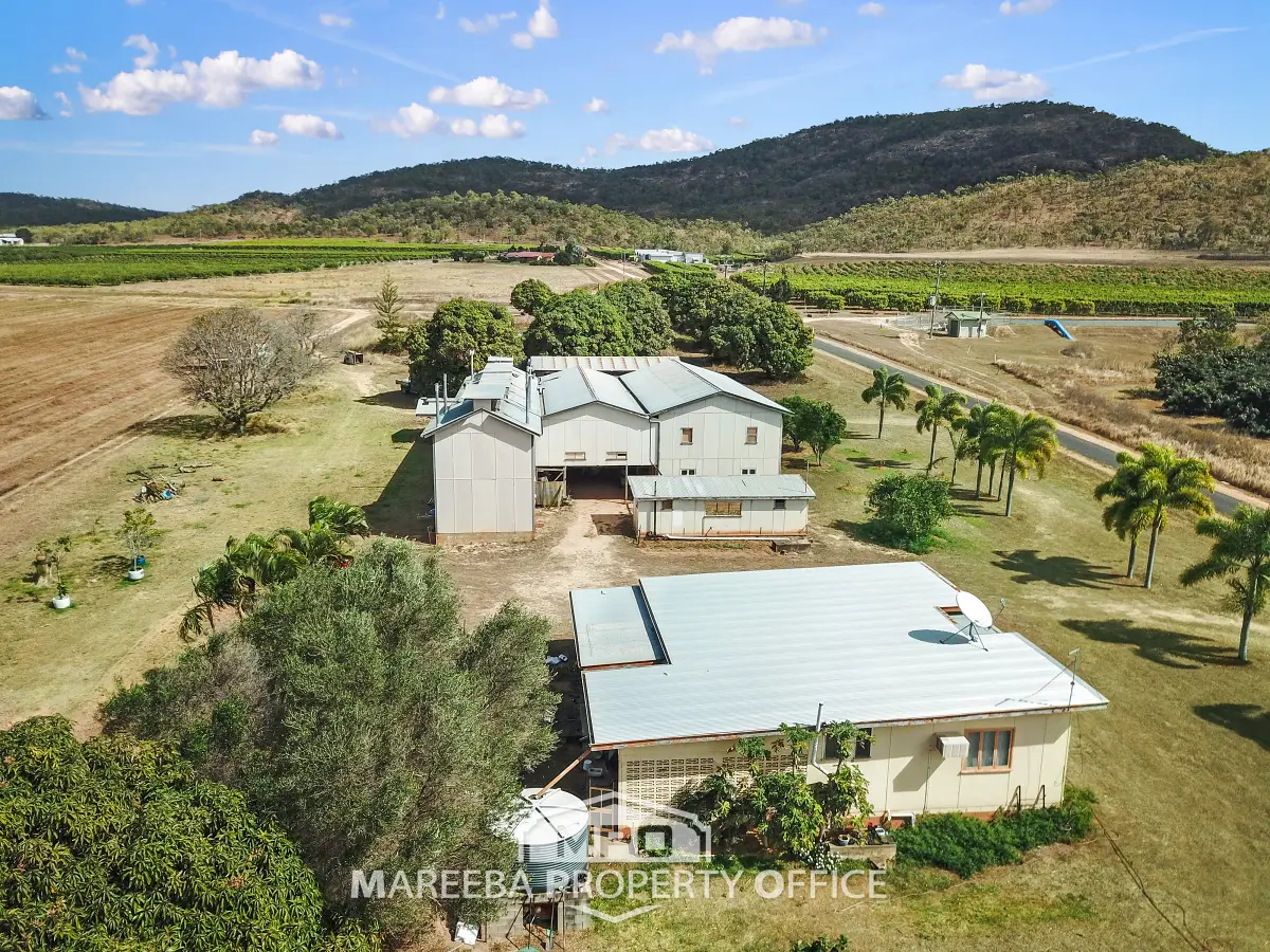 523 Mutchilba Road, Mutchilba, QLD, Mutchilba - Thumbnail 7