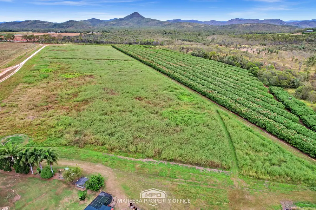 994 Leafgold Weir Road, Dimbulah, QLD, Dimbulah - Thumbnail 2