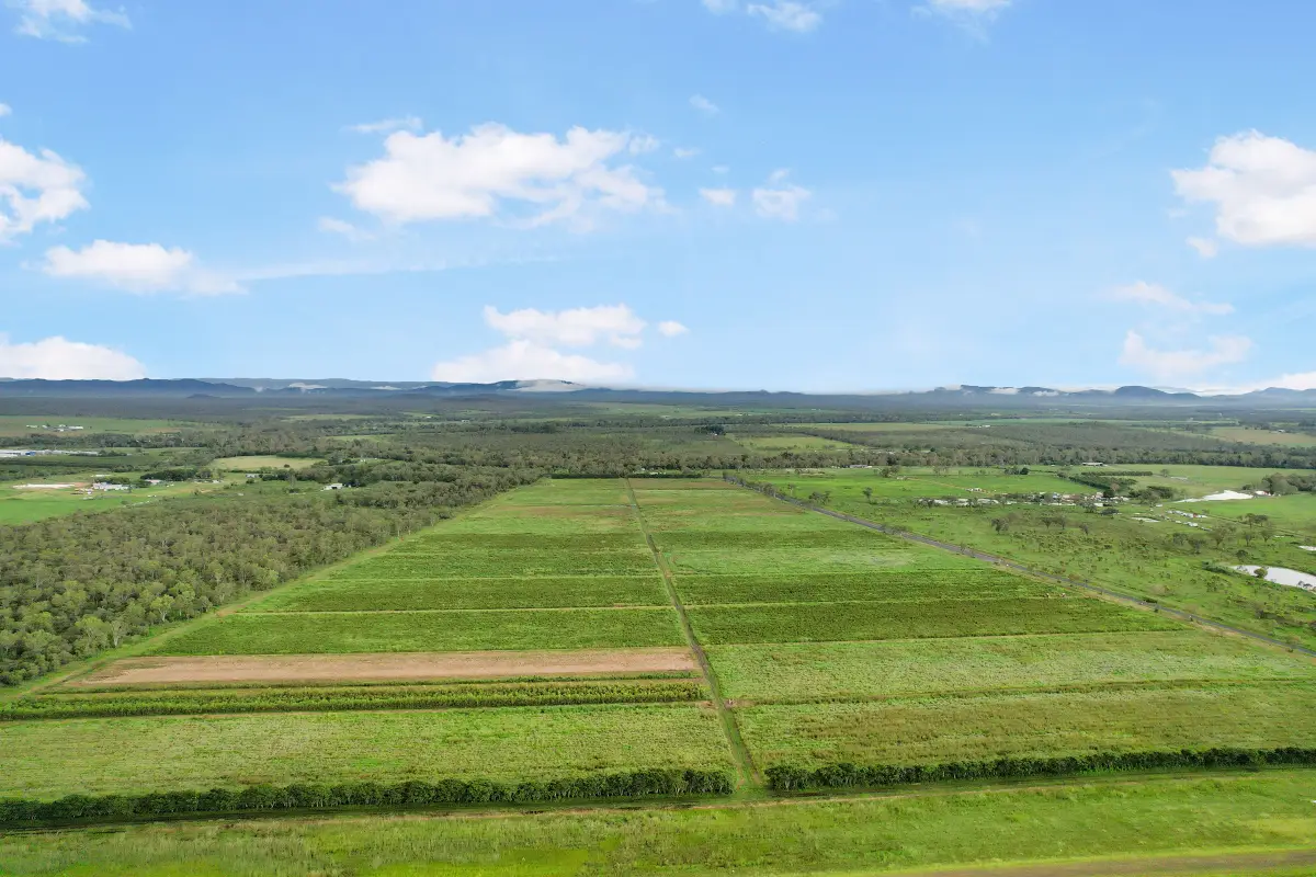 Lot 113 Leadingham Creek Road, Dimbulah, QLD, Dimbulah - Thumbnail 8