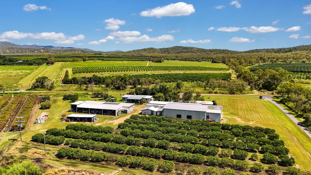 119 McLeod Road, Mutchilba, QLD, Mutchilba - Image 1